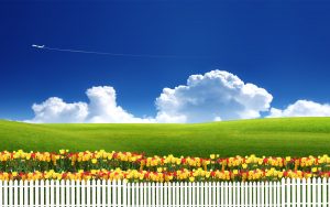 Sky-With-Plane-Wallpaper-1