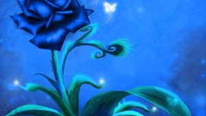 23-02-17-blue-roses-wallpapers4276