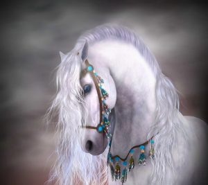 24-02-17-horse-wallpapers561