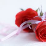 24-02-17-rose-wallpapers824