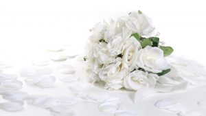 24-02-17-roses-wallpapers101