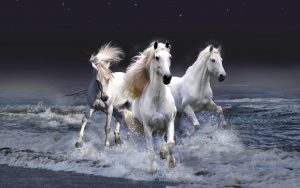 26-02-17-horses-wallpapers2800