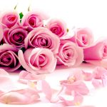 26-02-17-pink-roses-wallpapers1590