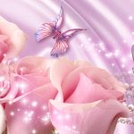 26-02-17-pink-roses-wallpapers1594