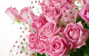 26-02-17-pink-roses-wallpapers1597