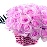 26-02-17-pink-roses-wallpapers1600