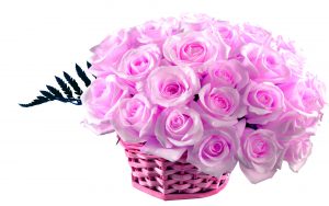 26-02-17-pink-roses-wallpapers1600