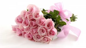 26-02-17-pink-roses-wallpapers1604