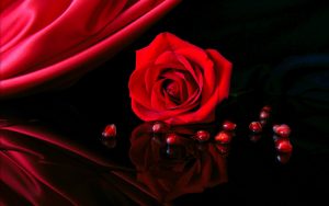 26-02-17-red-rose-wallpapers3066