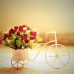 26-02-17-red-roses-bike-basket12054