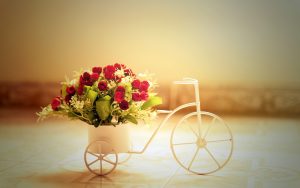 26-02-17-red-roses-bike-basket12054