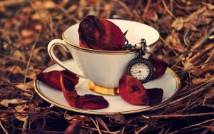 27-02-17-cup-rose-red-petals-clock-leaves-autumn11088