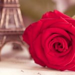 27-02-17-flower-red-rose-eiffel-tower-photo13304