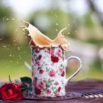 27-02-17-mood-cup-mug-spray-splash-roses-flowers10255