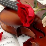 27-02-17-music-violin-red-rose16096