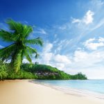 Background-Tropical-Beach-Wallpaper