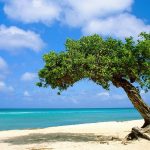 Beach-In-Aruba-Wallpaper-For-Desktop