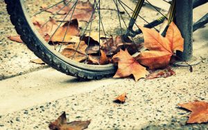 Bicycle-Autumn-Wheels-Hd-Wallpaper
