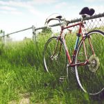 Bicycle-On-The-Farm-Hd-Desktop