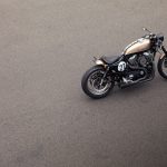 Motorcycle-Bald-Terrier-Hd-Image