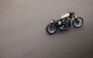 Motorcycle-Bald-Terrier-Hd-Image