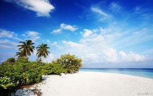 nature-beach