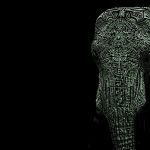 24-02-17-elephant-wallpapers510