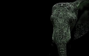 24-02-17-elephant-wallpapers510