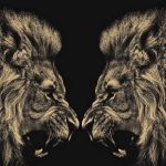 24-02-17-lion-wallpapers-642