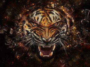 24-02-17-tiger-wallpapers951