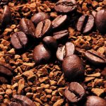 26-02-17-coffee-beans4969