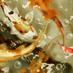 26-02-17-koi-fish-pictures14638