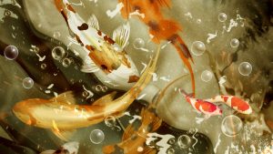 26-02-17-koi-fish-pictures14638