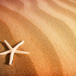 27-02-17-beach-sand-starfish11847