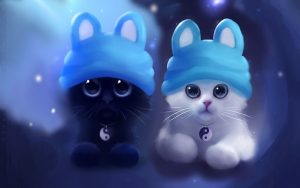 27-02-17-cute-twin-cats12072