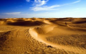 27-02-17-desert-landscape8761