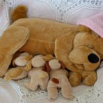 27-02-17-dog-puppy-toys12820