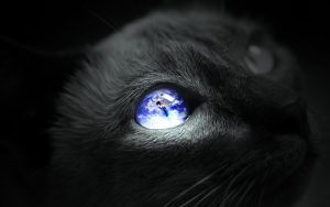 27-02-17-earth-cat-eye15688