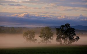 27-02-17-foggy-landscape18329