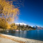 27-02-17-lake-wakatipu-landscape15511