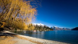 27-02-17-lake-wakatipu-landscape15511