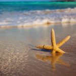 27-02-17-starfish-beach-sand18467