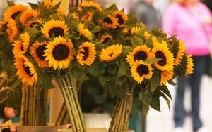 27-02-17-sunflowers-bouquets-flowers11561