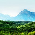 27-02-17-tilt-shift-forest-landscape13684