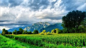 28-02-17-green-field-landscape-2058713554