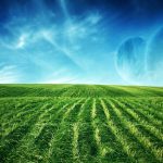 28-02-17-green-landscape-background9733