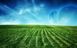 28-02-17-green-landscape-background9733