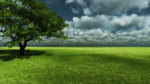 28-02-17-green-landscape-wallpapers14930