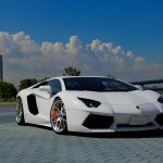 28-02-17-lamborghini-aventador-white10571