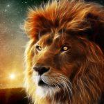 28-02-17-lion15861-